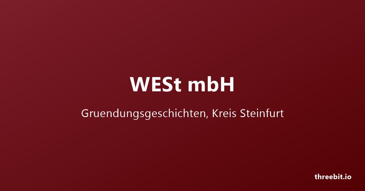 WESt Gründungsgeschichten: ThreeB IT in der regionalen Gründerserie cover image